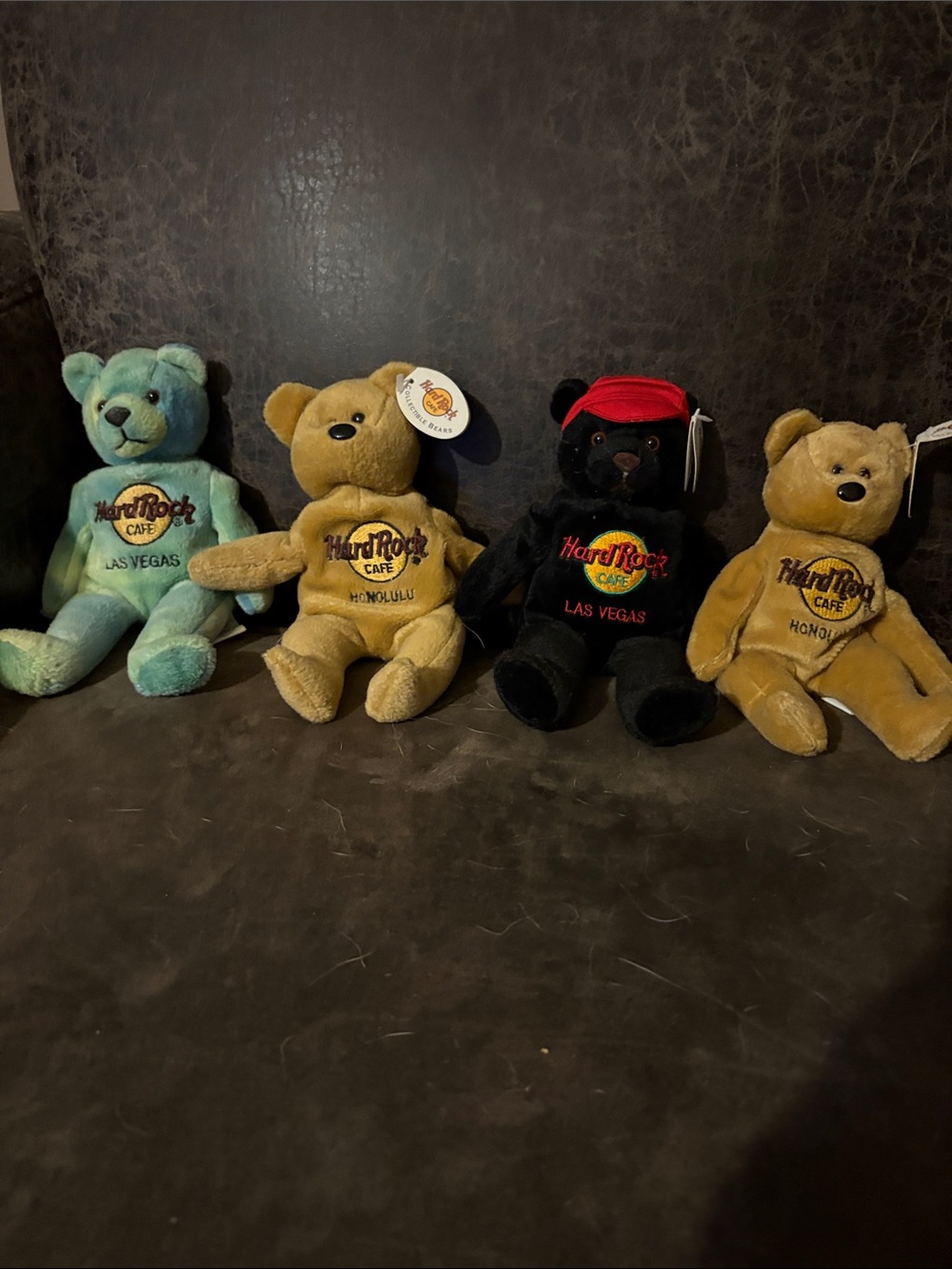 Hard Rock Cafe Plush Bears in Mint, Tan, Black & Tan